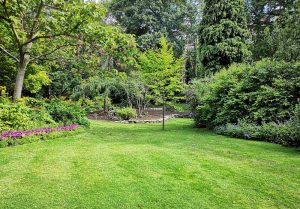 Optimiser l'expérience du jardin à Cendrecourt